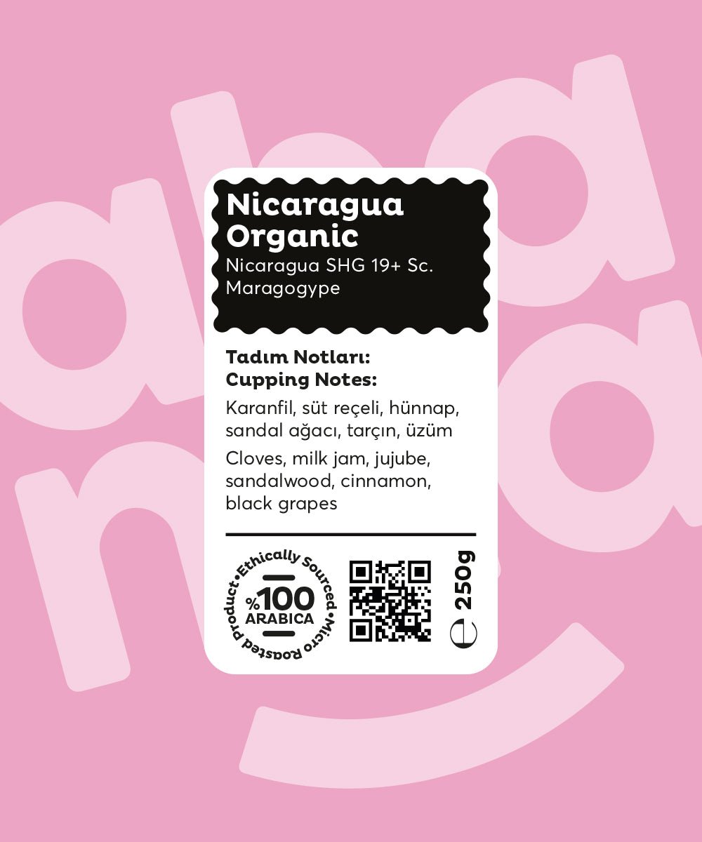Nicaragua Organic SHG Scr 19 Up - Nitelikli Kahve 250g - Ahanda Kahve