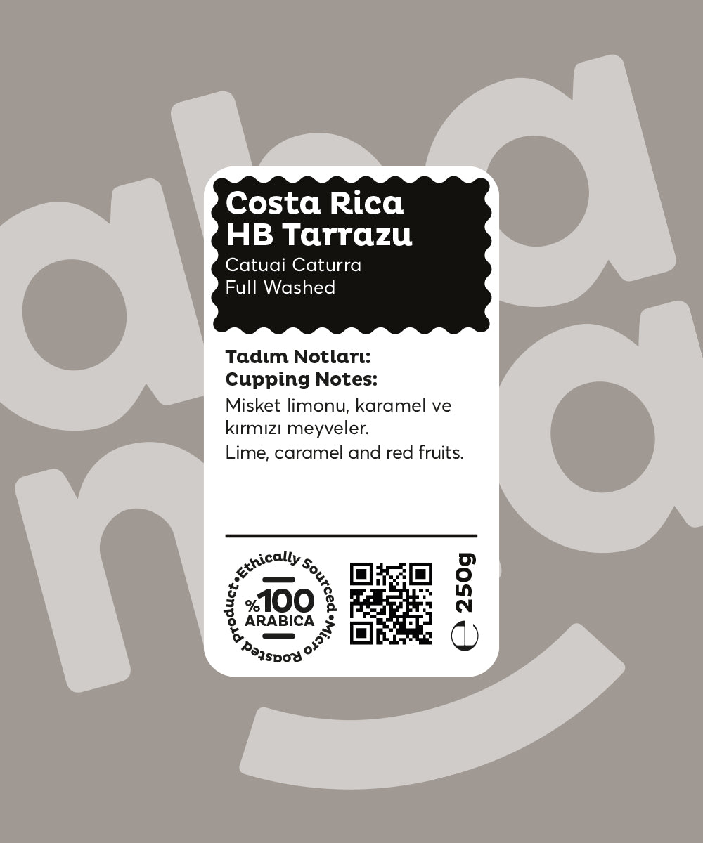 Costa Rica HB Tarrazu - Nitelikli Kahve 250g - Ahanda Kahve
